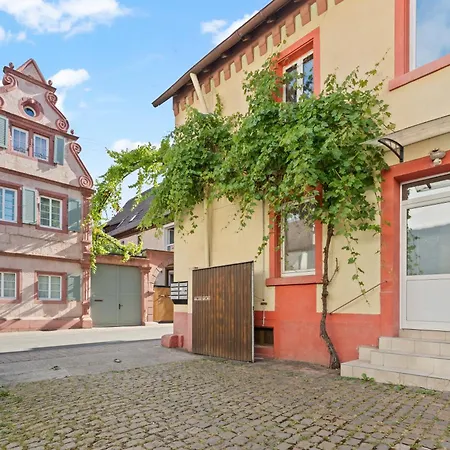 Winetime - - Fuer Bis Zu 3 Personen - Gemuetlich An Der Suedlichen Weinstrasse Zwischen Landau Und Neustadt - Naehe Ludwigshoehe - Rietburg Apartament *