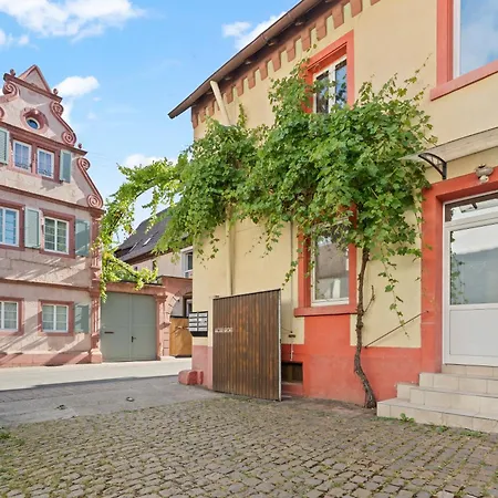 Winetime - - Fuer Bis Zu 3 Personen - Gemuetlich An Der Suedlichen Weinstrasse Zwischen Landau Und Neustadt - Naehe Ludwigshoehe - Rietburg Apartman *